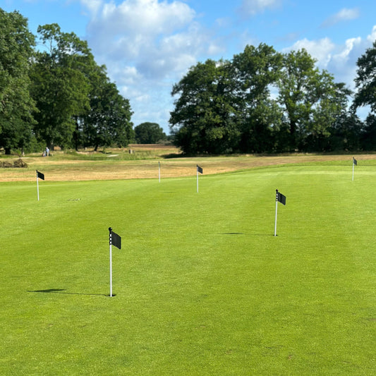 Putting Green flagga modell flagga